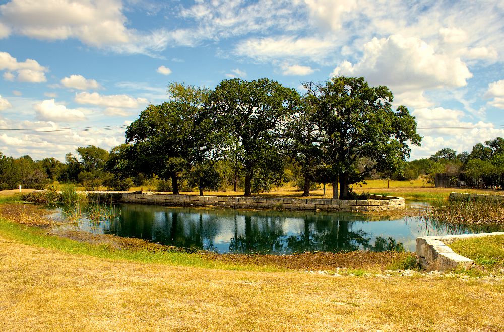 pond